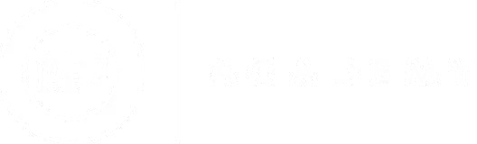 PPS Academy